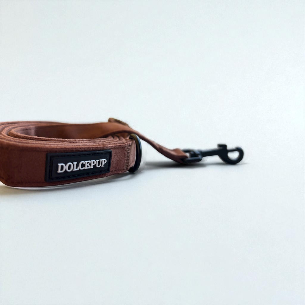 BROWNIE PUP - Póráz