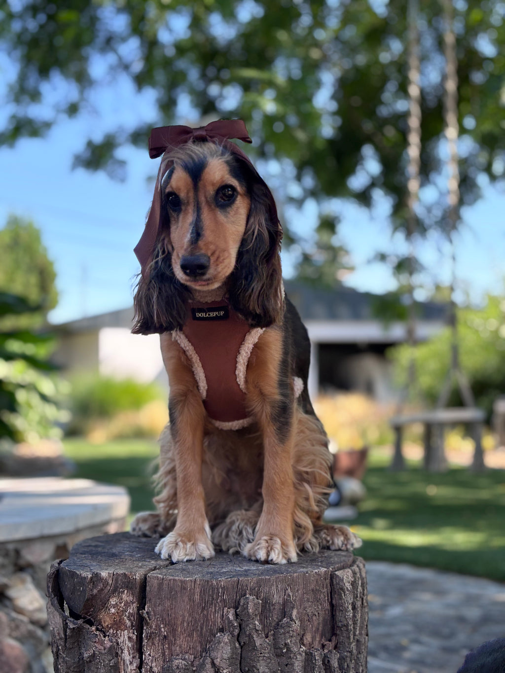 BROWNIE PUP - Állítható hám